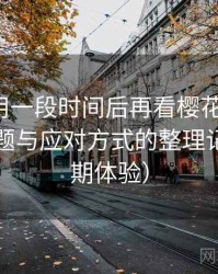 连续使用一段时间后再看樱花影院网：常见问题与应对方式的整理记录（长期体验）