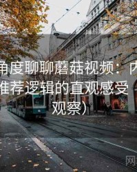 从用户角度聊聊蘑菇视频：内容覆盖范围与推荐逻辑的直观感受（稳定性观察）