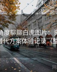 从用户角度聊聊白虎图片：资源失效时的替代方案体验记录（整理版）