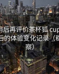 多次使用后再评价茶杯狐 cupfox：多次回访后的体验变化记录（稳定性观察）