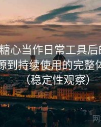 把天美糖心当作日常工具后的感受：从找资源到持续使用的完整体验链路（稳定性观察）