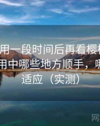 连续使用一段时间后再看樱桃视频：日常使用中哪些地方顺手，哪些需要适应（实测）