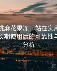 天美蜜桃麻花果冻｜站在实用角度的整理：长期使用后的可靠性与便利性分析