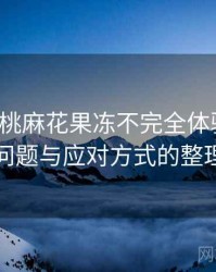 天美蜜桃麻花果冻不完全体验说明：常见问题与应对方式的整理记录