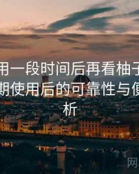 连续使用一段时间后再看柚子影视官网：长期使用后的可靠性与便利性分析