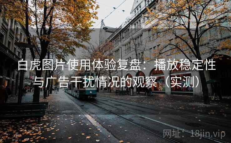 白虎图片使用体验复盘：播放稳定性与广告干扰情况的观察（实测）