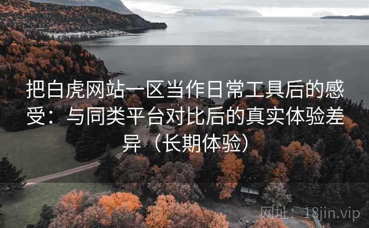 把白虎网站一区当作日常工具后的感受：与同类平台对比后的真实体验差异（长期体验）