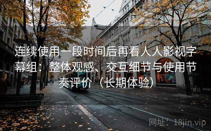 连续使用一段时间后再看人人影视字幕组：整体观感、交互细节与使用节奏评价（长期体验）