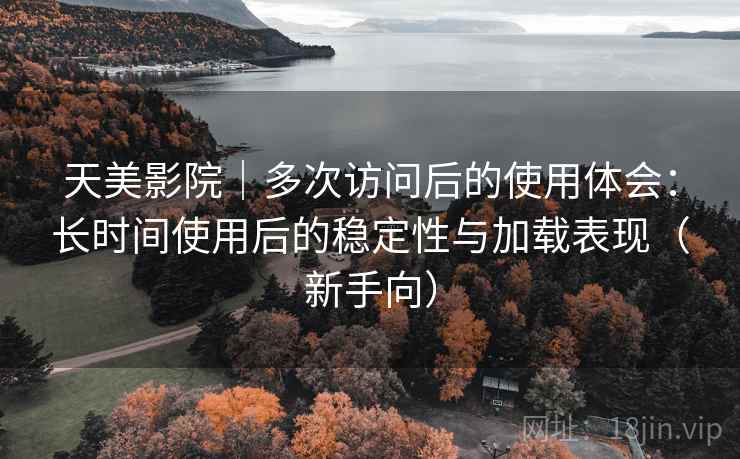 天美影院｜多次访问后的使用体会：长时间使用后的稳定性与加载表现（新手向）