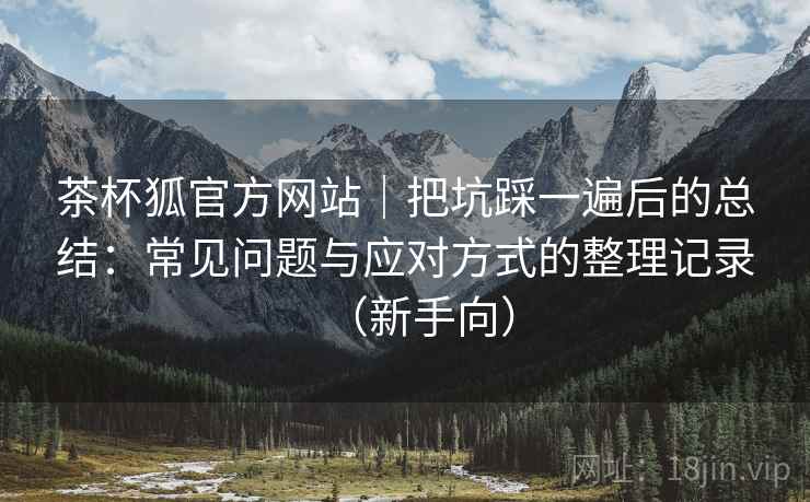 茶杯狐官方网站｜把坑踩一遍后的总结：常见问题与应对方式的整理记录（新手向）