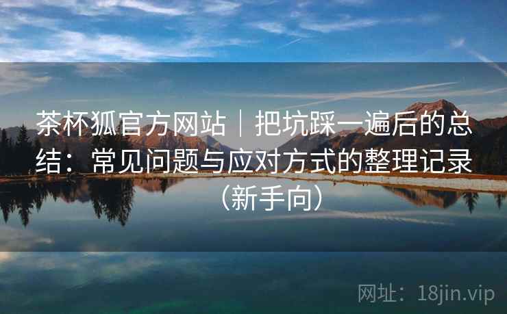 茶杯狐官方网站｜把坑踩一遍后的总结：常见问题与应对方式的整理记录（新手向）
