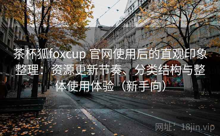 茶杯狐foxcup 官网使用后的直观印象整理：资源更新节奏、分类结构与整体使用体验（新手向）