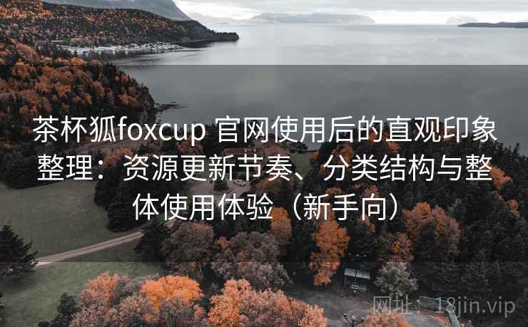 茶杯狐foxcup 官网使用后的直观印象整理：资源更新节奏、分类结构与整体使用体验（新手向）